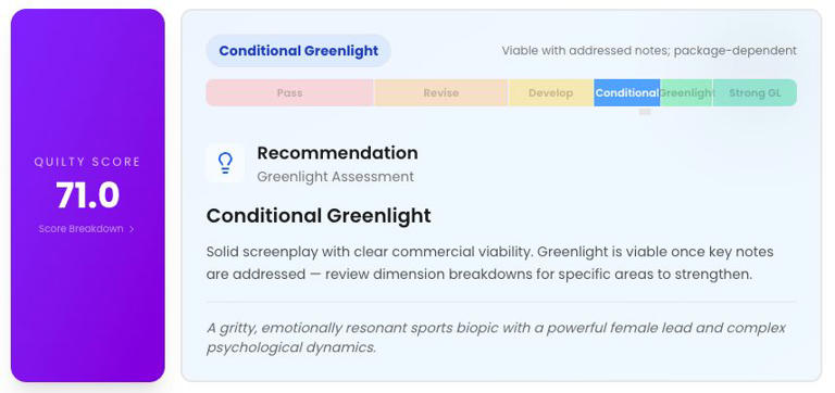 We tried Quilty, the AI tool that analyzes scripts. The results were ...