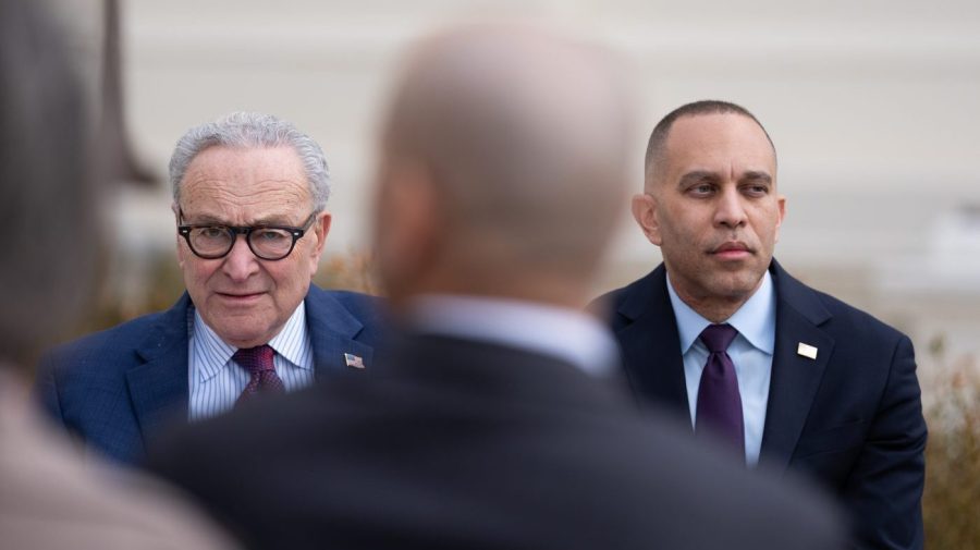 Jeffries, Schumer knock Trump mail-in voting order: 