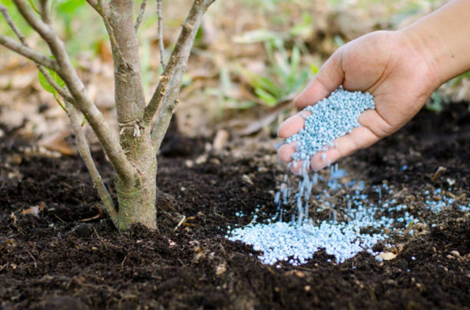 Materials sector rises in Q1 as war-driven commodity gains lift XLB