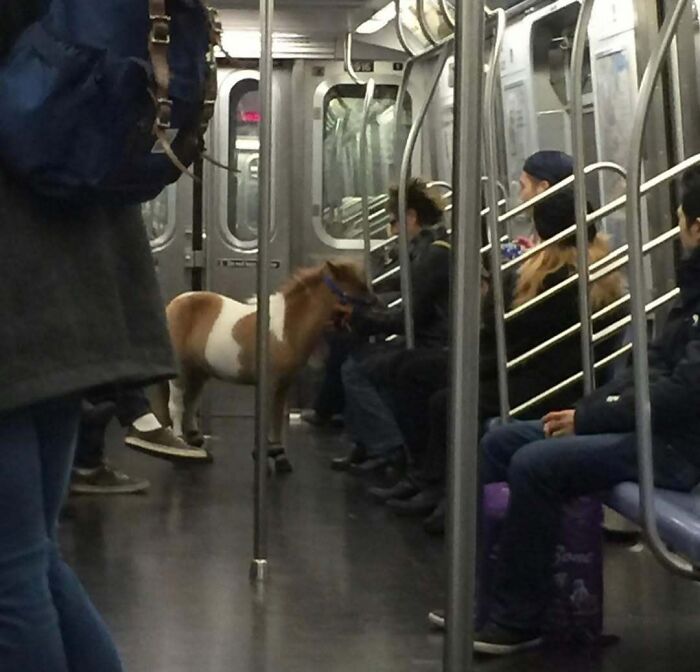 Subways Are Their Own Separate World And These 48 Photos Prove It