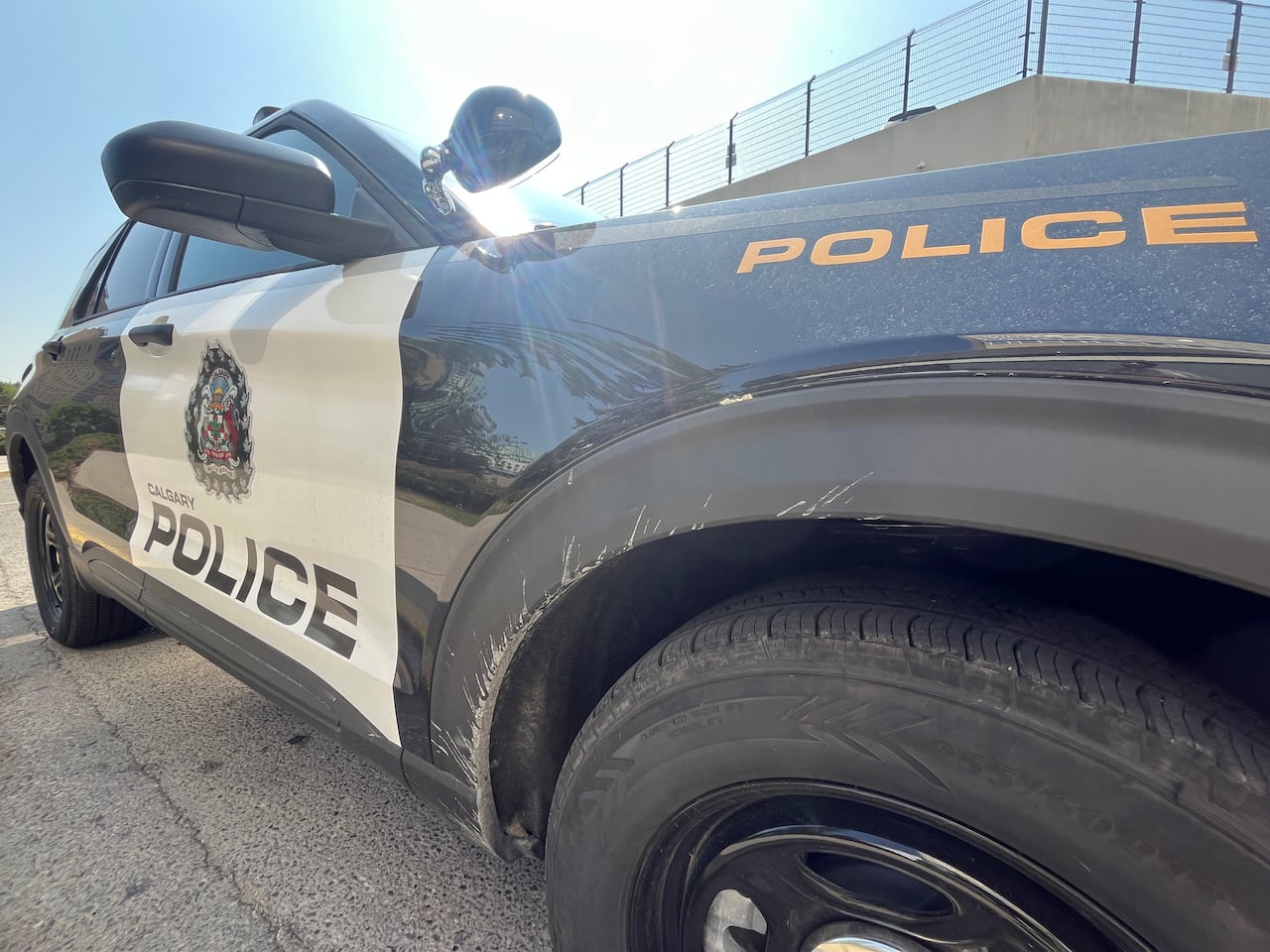 Man hit by truck after running into traffic with stolen purse: Calgary ...