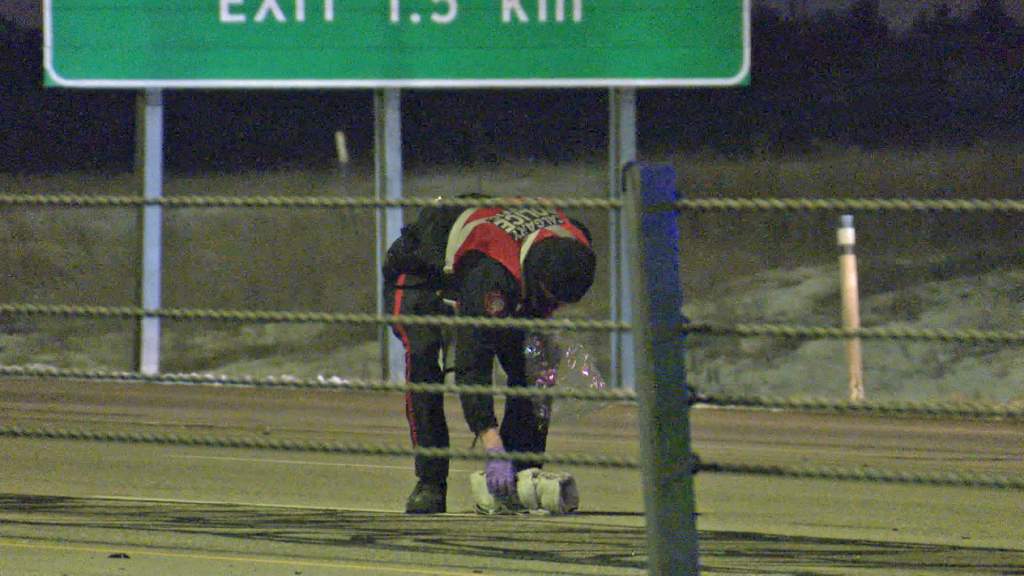 Calgary police confirm pedestrian killed in crash on Stoney Trail