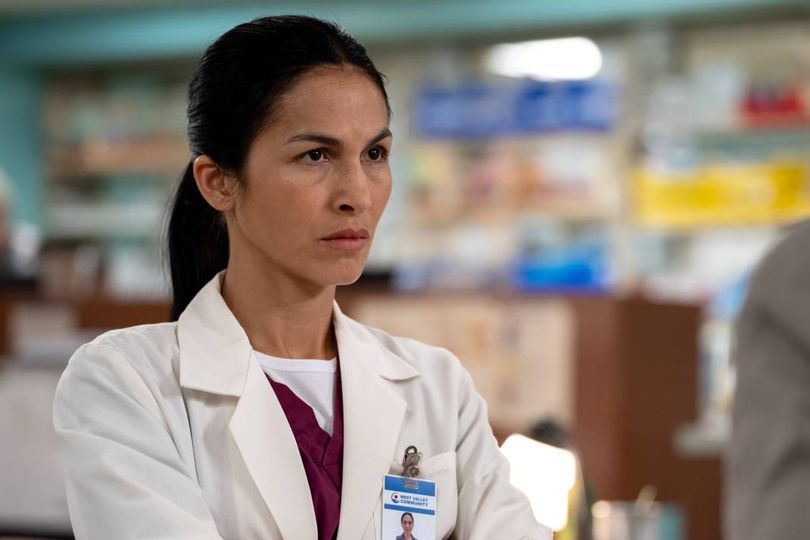 Meet the Cleaning Lady cast on Netflix from Gilmore Girls icon to X-Men ...