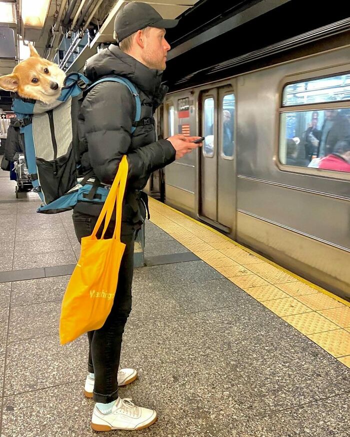 Subways Are Their Own Separate World And These 48 Photos Prove It