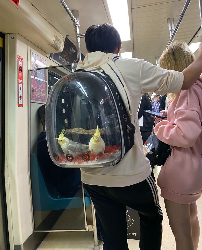 Subways Are Their Own Separate World And These 48 Photos Prove It