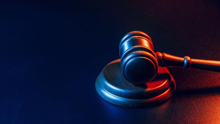 Delmar woman pleads guilty to vehicular manslaughter in 2025 wrong-way ...