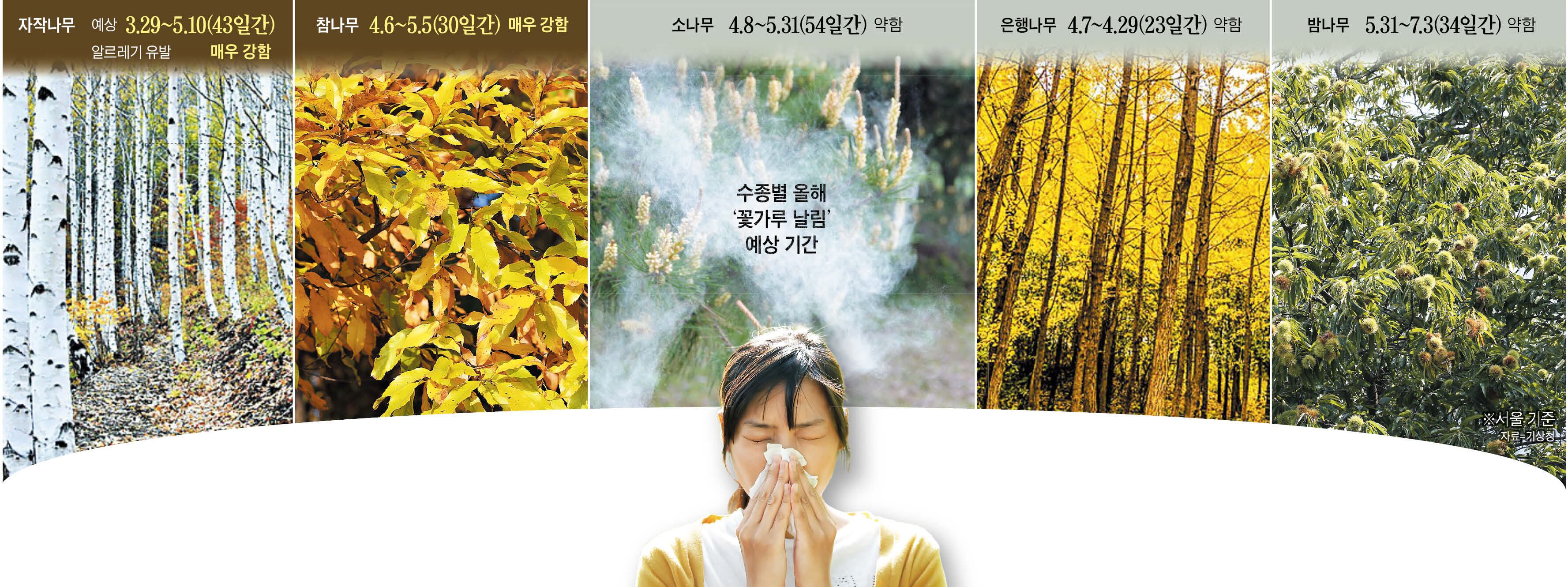 Earlier, more intense: Spring pollen season accelerated by global warming