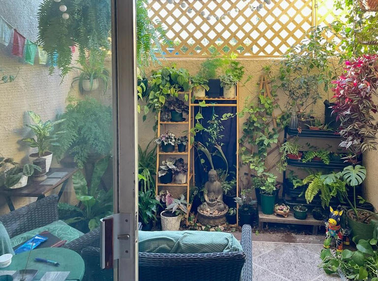 Tenant shares striking backyard transformation photos