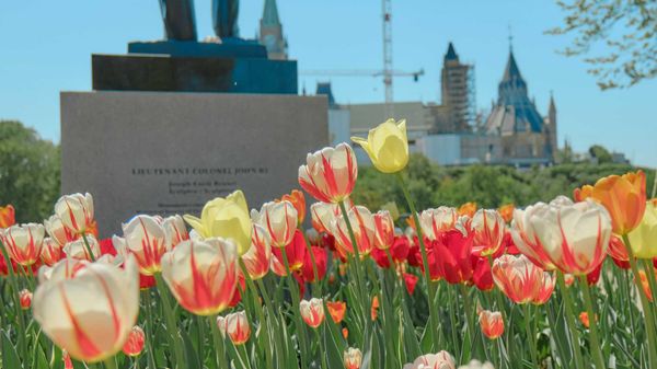 Good Friday and Easter Monday aren't stat holidays across Canada so you ...