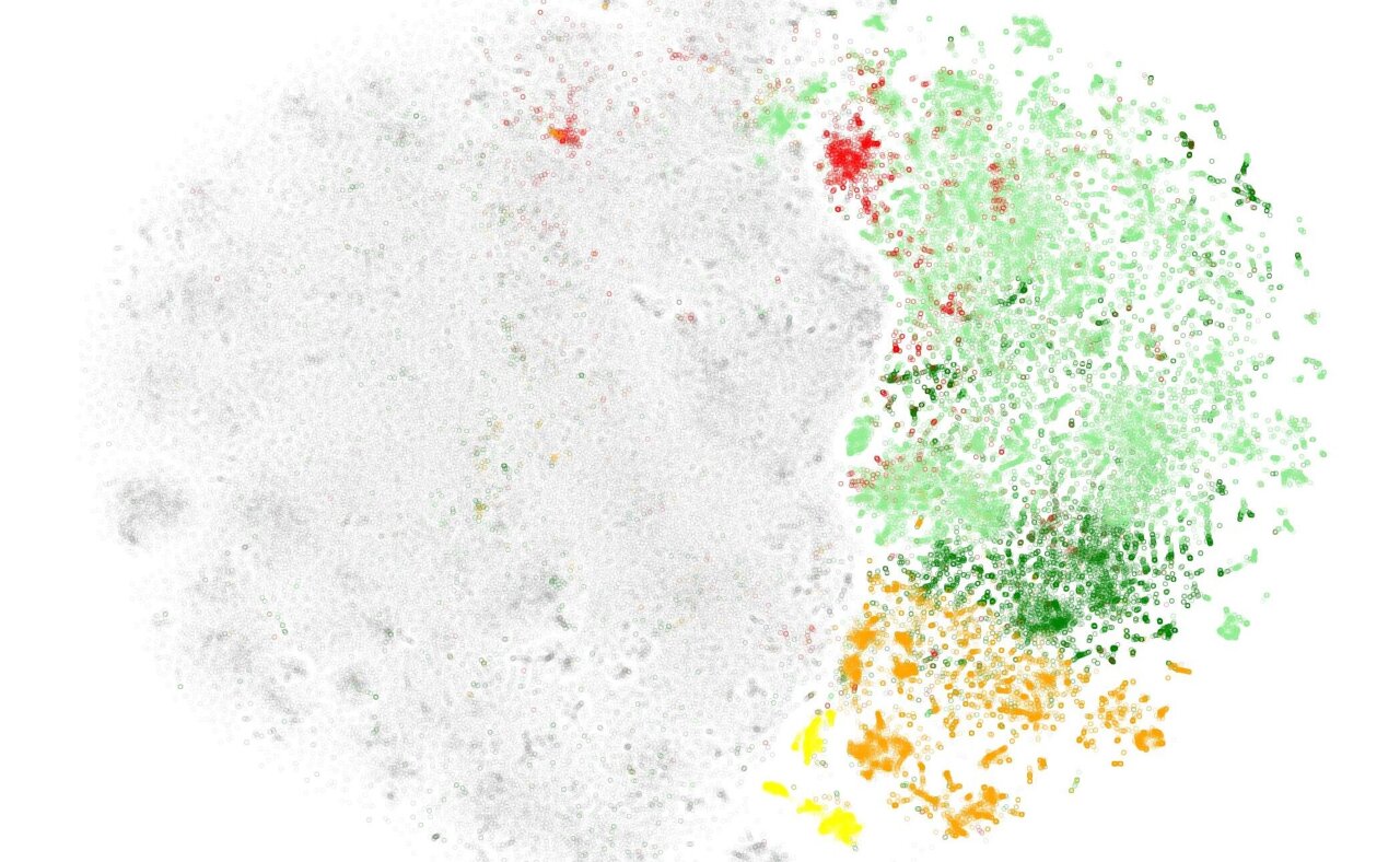 Accuracy test for protein language models shines light into AI 'black box'