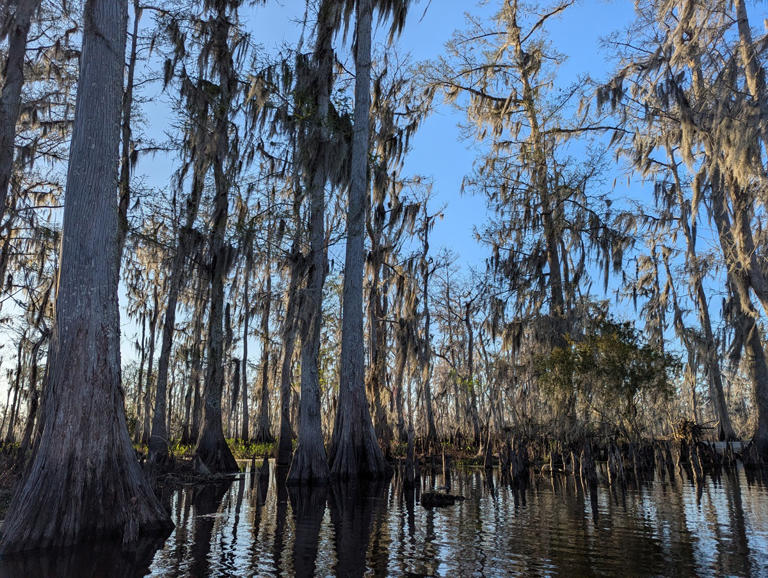 16 best things to do in Louisiana's River Parishes near NOLA