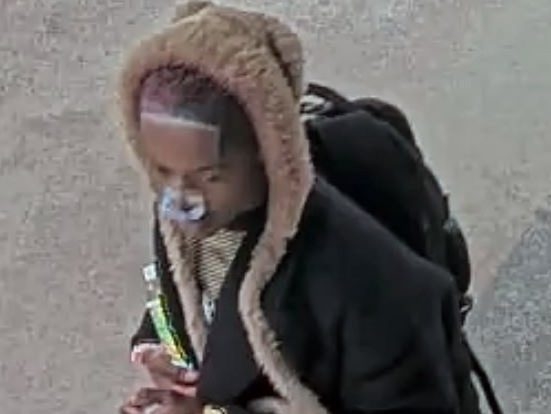 Man arrested for University of Toronto arson; man accused of York ...
