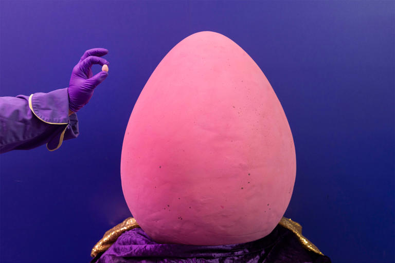 World’s largest Cadbury Mini Egg isn’t mini at all — weighing in at ...