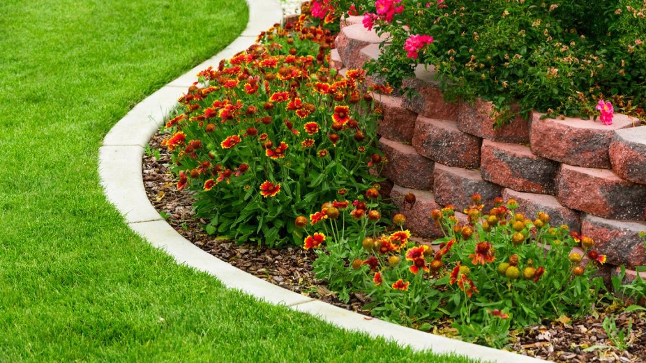 Image result for orders over 29