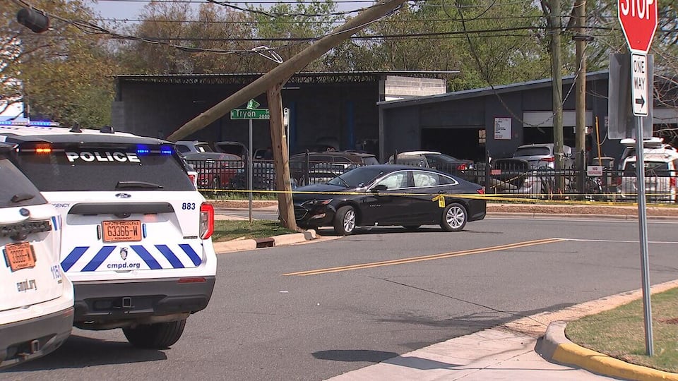 Driver crashes into pole, flees scene in north Charlotte