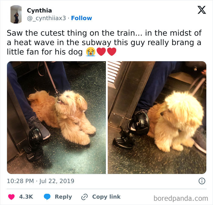 Subways Are Their Own Separate World And These 48 Photos Prove It