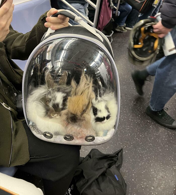 Subways Are Their Own Separate World And These 48 Photos Prove It