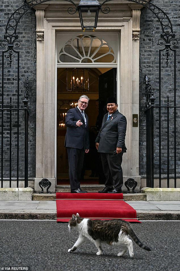 Larry the cat finally catches a rodent: Downing Street's chief mouser ...