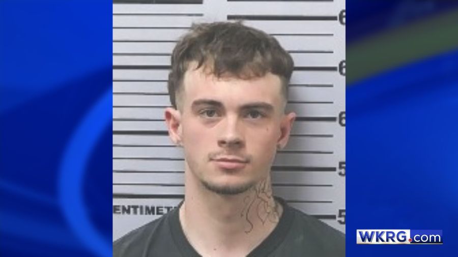 Mobile County man pleads guilty in Semmes rape case