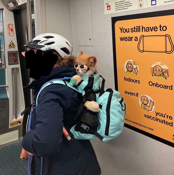Subways Are Their Own Separate World And These 48 Photos Prove It
