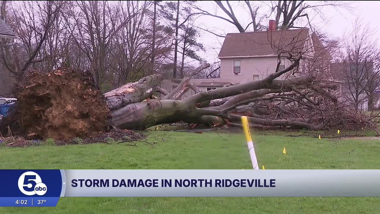 North Ridgeville cleaning up storm damage