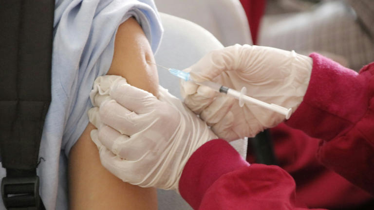 One-shot vaccine injected into tumors shows promise for boosting survival