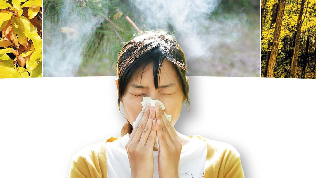 Pollen seasons shorten, intensify with global warming