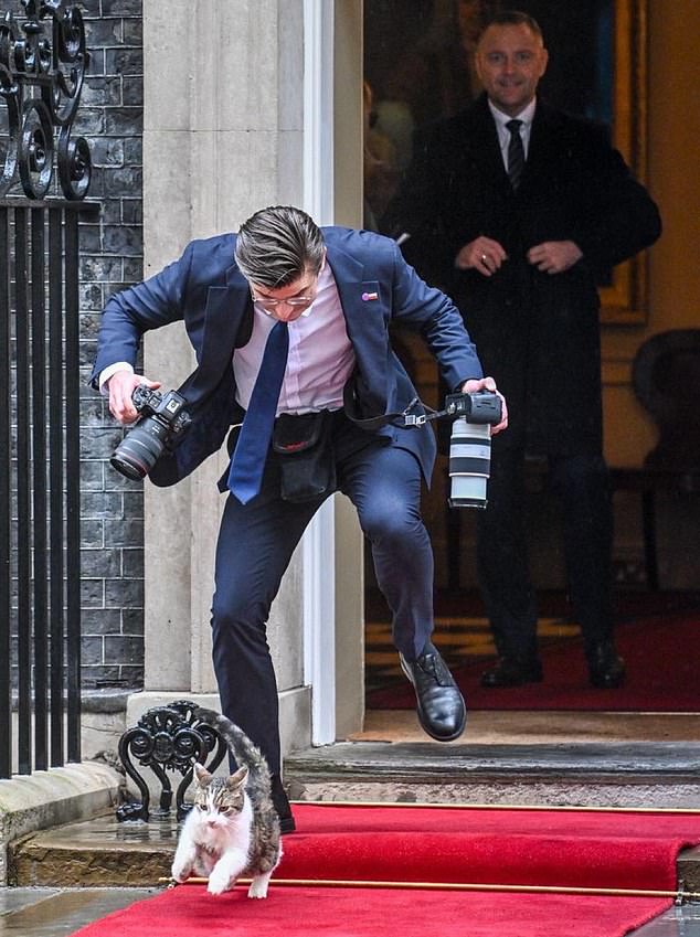 Larry the cat finally catches a rodent: Downing Street's chief mouser ...