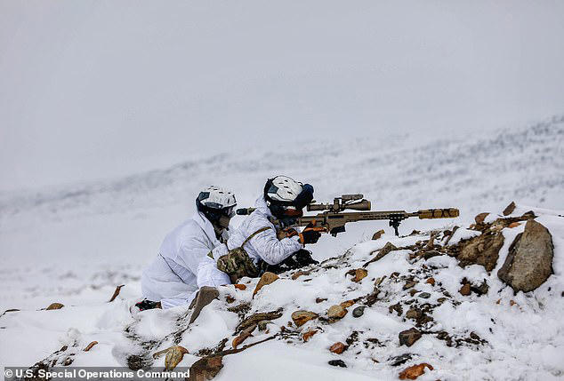 Trump plots dramatic Greenland military swoop with special forces and ...