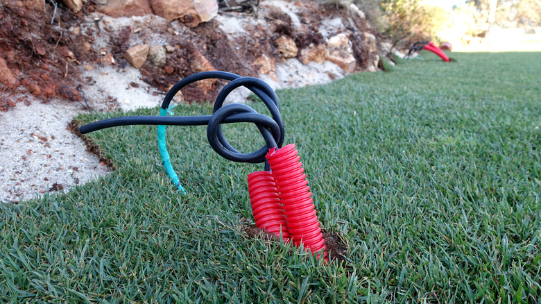 What to do if you find exposed wires or cables in your yard
