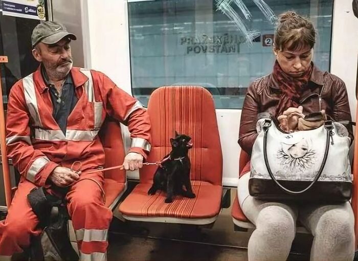 Subways Are Their Own Separate World And These 48 Photos Prove It