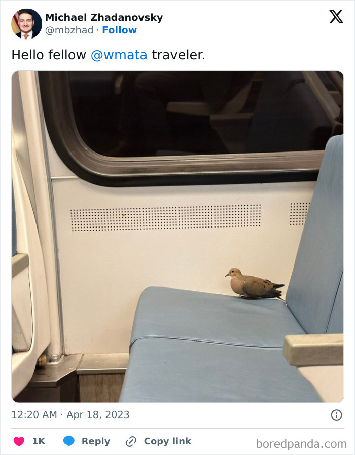 Subways Are Their Own Separate World And These 48 Photos Prove It