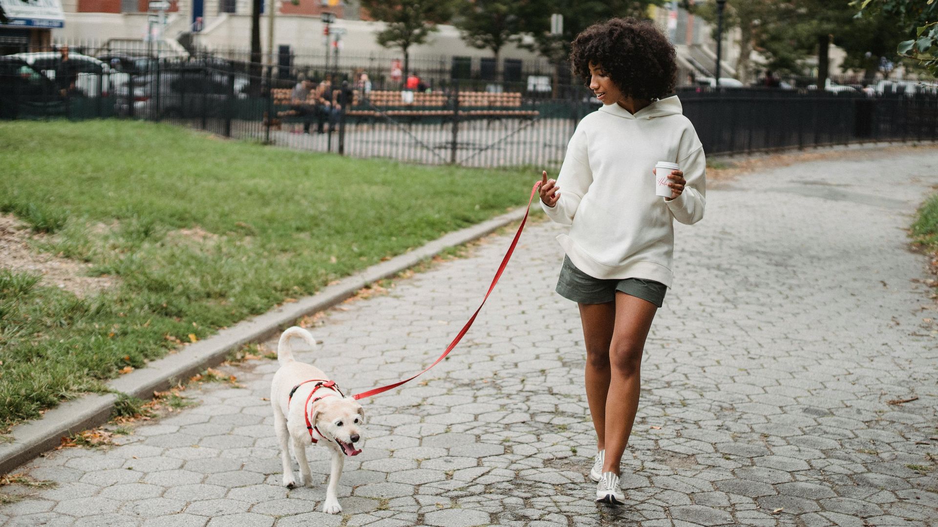 20 small habits that can bring your resting heart rate down