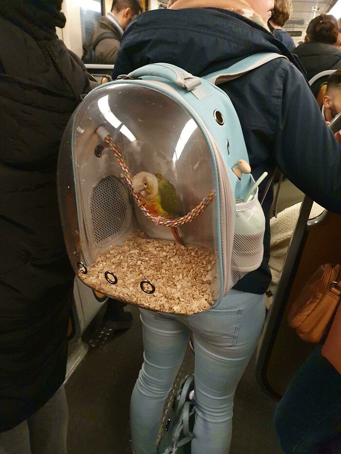 Subways Are Their Own Separate World And These 48 Photos Prove It