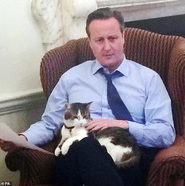 Larry the cat finally catches a rodent: Downing Street's chief mouser ...