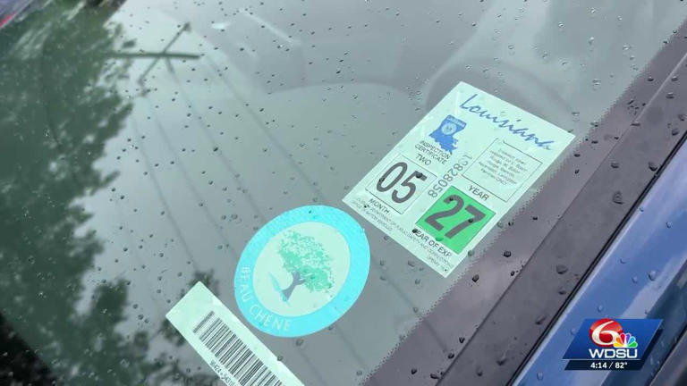 City of Kenner could strip brake tags
