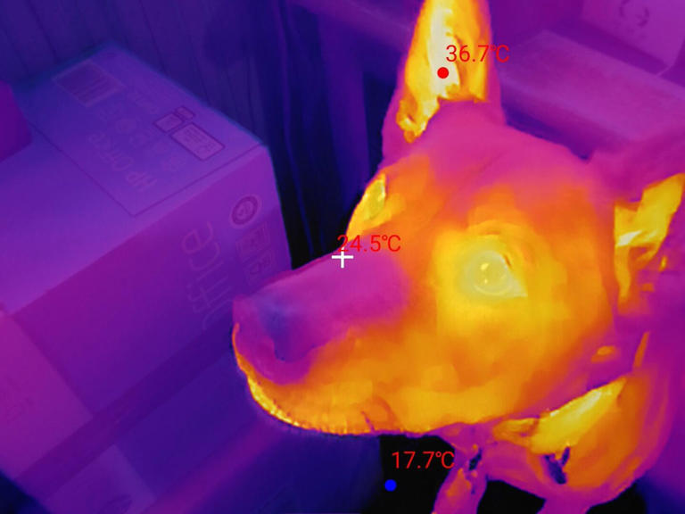 This Android camera accessory helped me spot a hidden electrical hazard ...