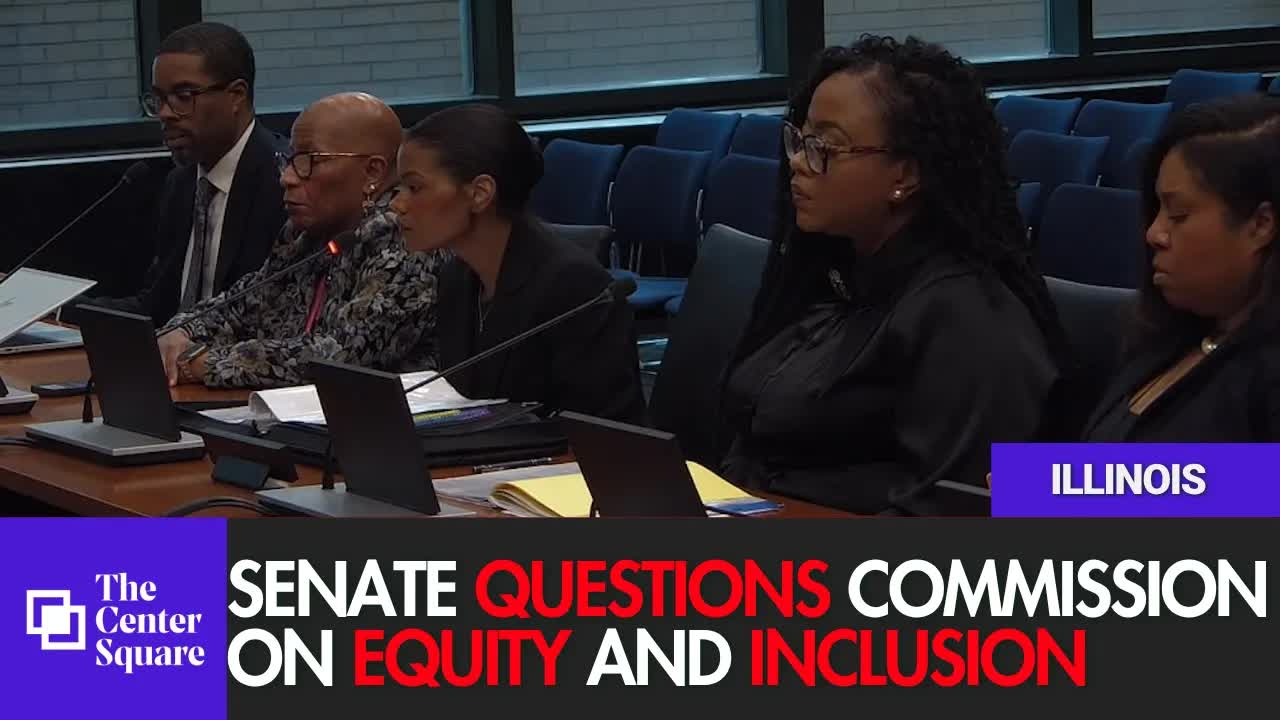 Illinois' Commission on Equity and Inclusion faces questions during ...