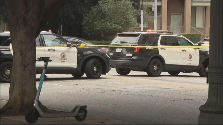 Suspect arrested in downtown Los Angeles stabbing tied to murder at ...