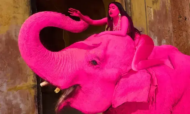 Jaipur's viral pink elephant died a month ago: What the controversy is ...