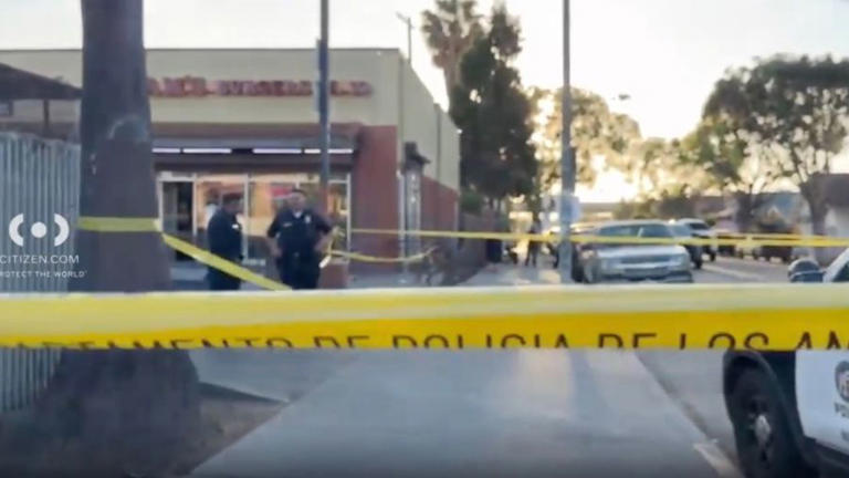 South LA strip mall shooting leaves 4 injured