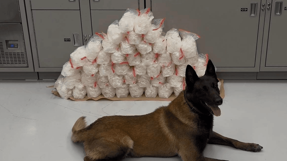 Mesquite police K-9 helps seize 100 pounds of meth during interstate ...