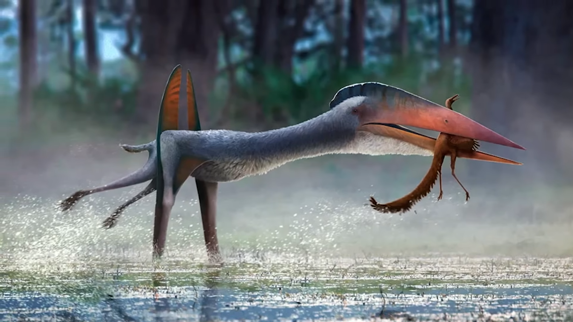 The sky-hunting giant whose feeding behavior remains uncertain