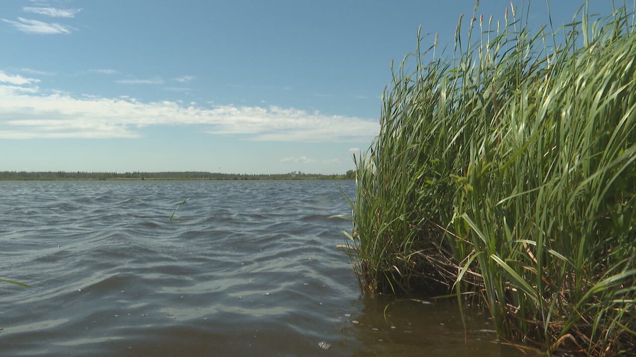 Province finalizing PEI wetland policy review; Opposition calls for ...