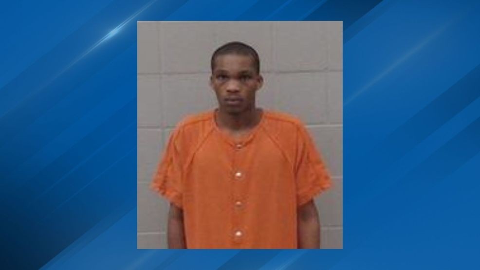 Suspect in custody after Pine Bluff double-homicide
