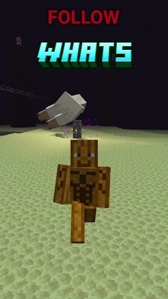 Whats wrong with this Minecraft video? There are 3 things, see if yo...
