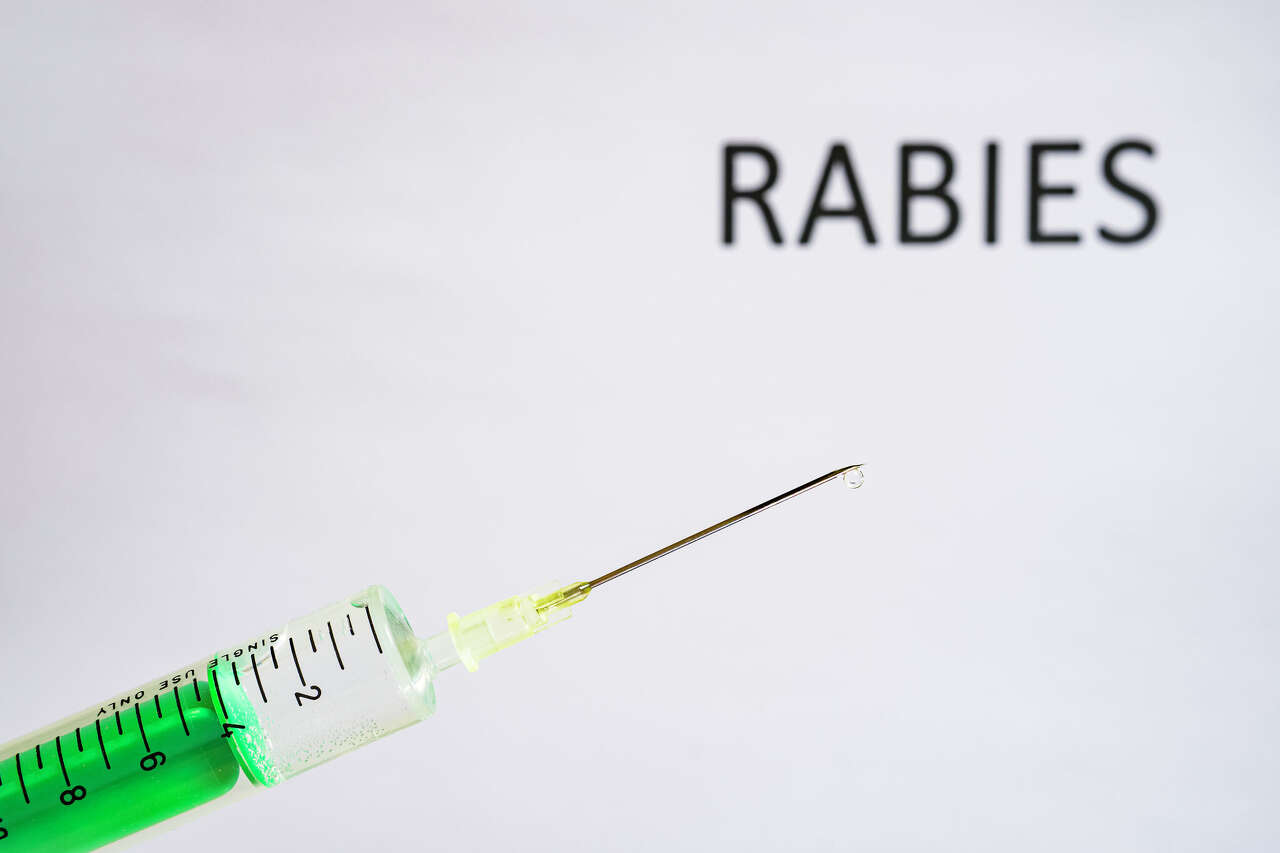 Rabies isn