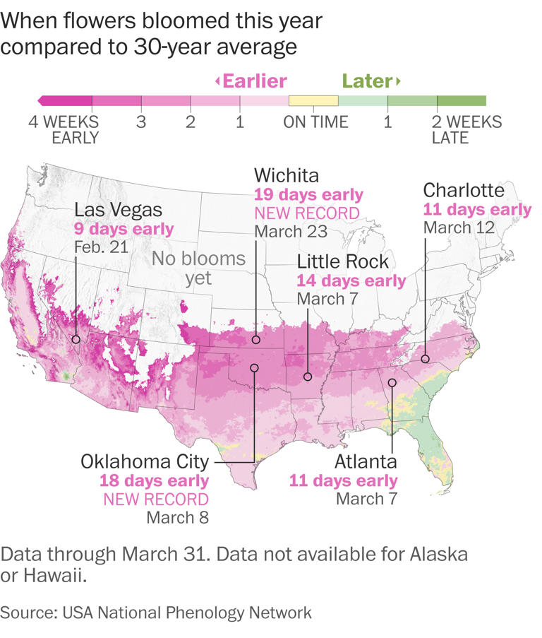 See where flowers and leaves are emerging early after record-warm March