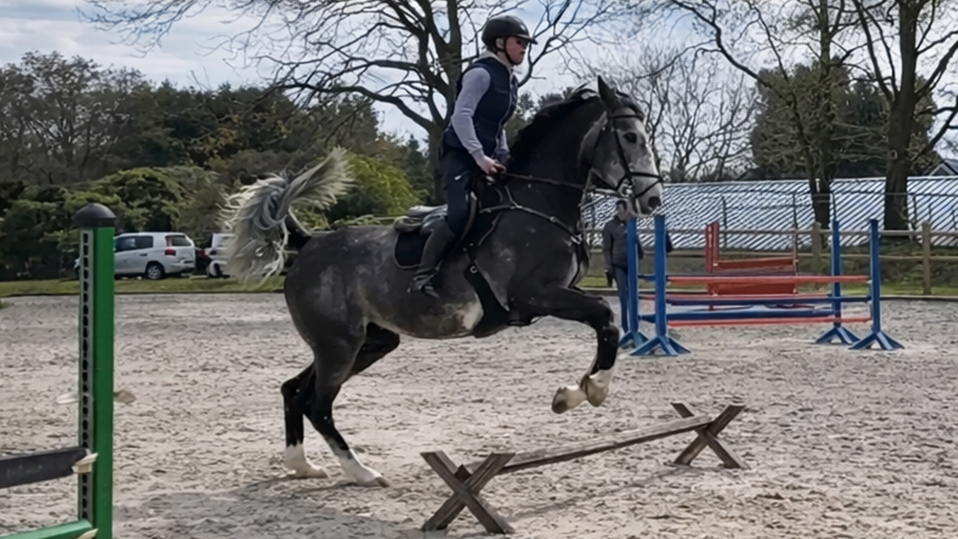 Technieken voor het trainen van springpaarden