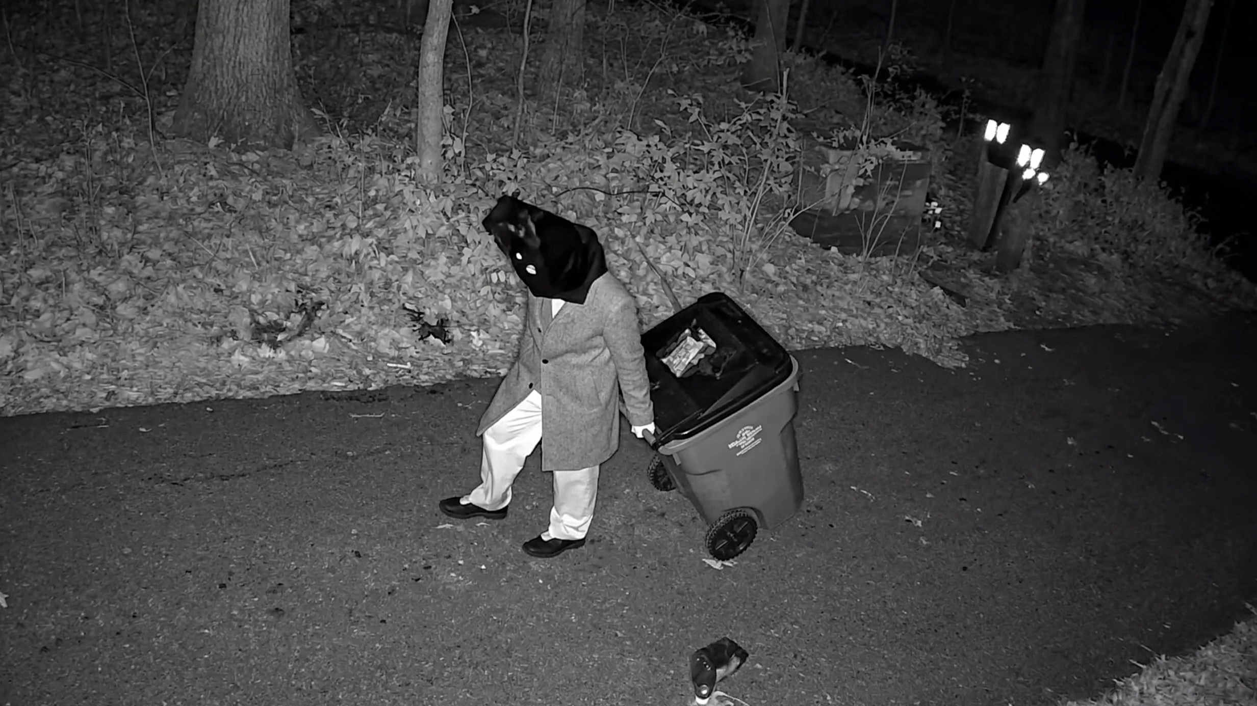 Security footage captures a bizarre late-night intruder at the property ...